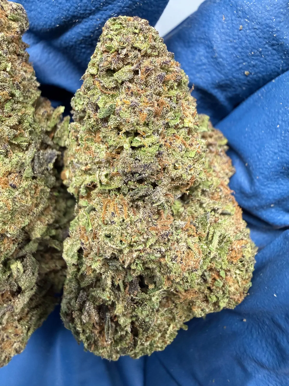 Pixie Pop Runtz Packaged Flower